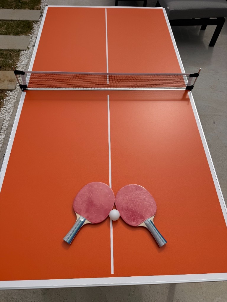 Table de ping-pong dans le jardin, location familiale Disney